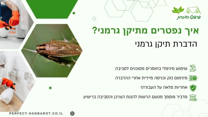 איך נפטרים מתיקן גרמני