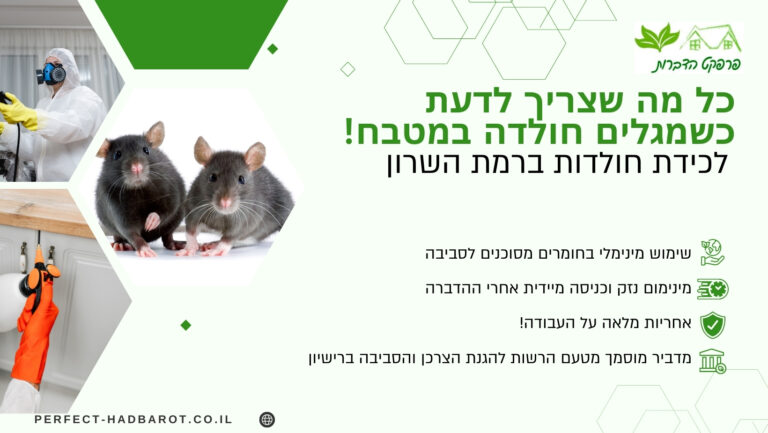 לכידת חולדות ברמת השרון – כל מה שצריך לדעת כשמגלים אחת במטבח! (תמונה)