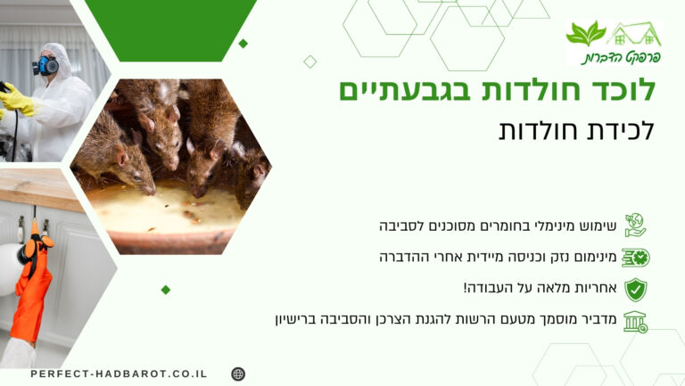 לוכד חולדות בגבעתיים (תמונה)