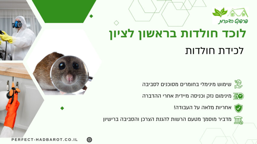 לוכד חולדות בראשון לציון (תמונה)