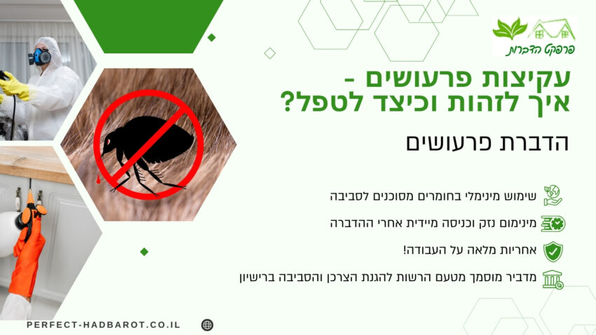 עקיצות פרעושים (תמונה)